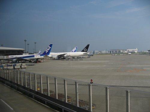 IMG_1423.JPG